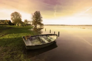 Les marais blancs du Cotentin